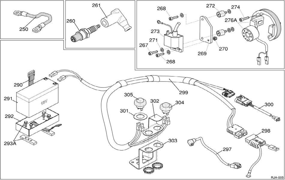 IAME KA 100CC Electronic Ignition